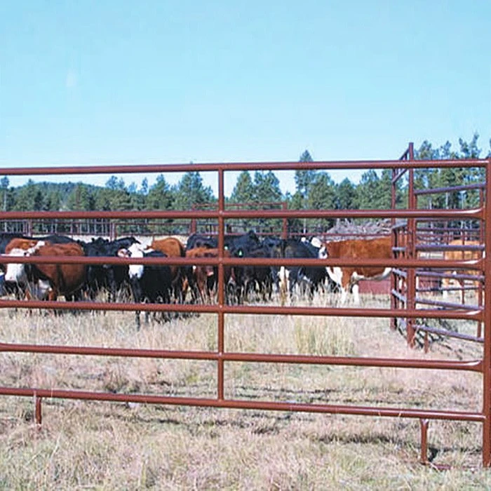 cattle corral panels for sale
