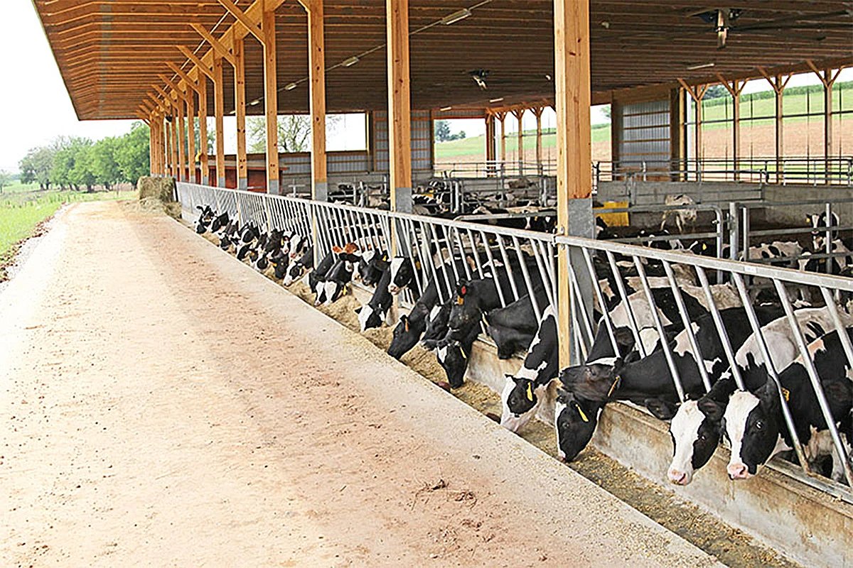 China Cattle feeder panels China Cattle feeder panels